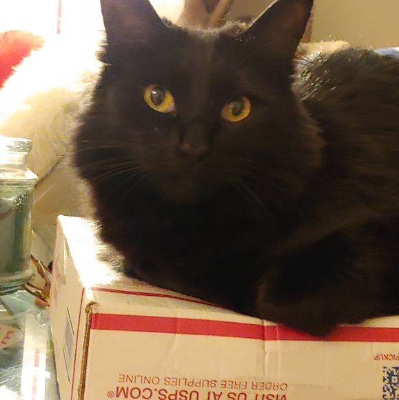 Meet your Posher, Kimberly - Picture 3 of 9